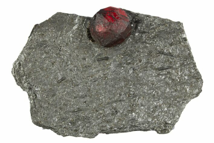 Red Embers Garnet in Graphite - Massachusetts #313486